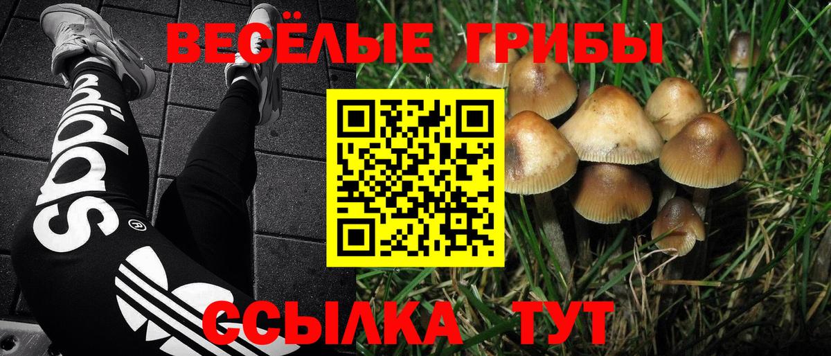 Биробиджан  Псилоцибиновые грибы Psilocybe  купить  сайты  Вход с VPN 